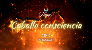 Meditación - Caballo de la Consciencia 2026