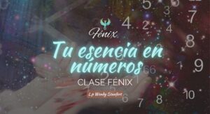 Clase Fénix - Tu esencia en números